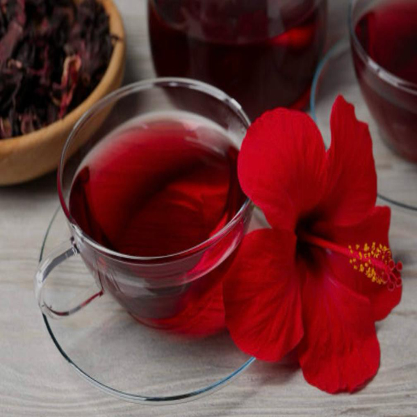 Organic Natural Herbs for Export and Import Co. - Fresh Natural Herbs From Fields To Clients