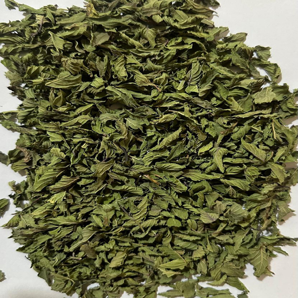 Organic Natural Herbs for Export and Import Co. - Fresh Natural Herbs From Fields To Clients
